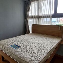 The Verve (D12), Apartment #530080061